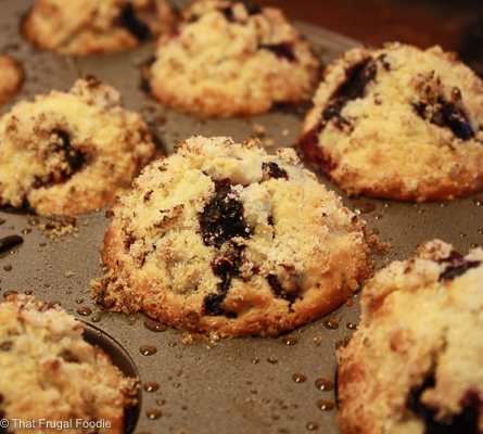 Blueberry Muffin