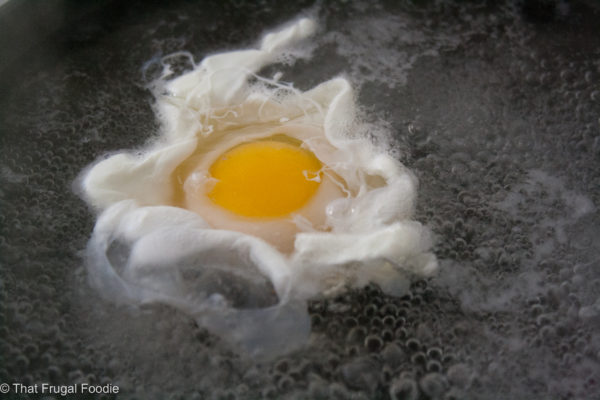 Poached Egg